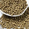 Baking Paint Glass Seed Beads X1-SEED-B001-02A-18-1
