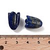 Natural Lapis Lazuli Beads G-A222-03I-5