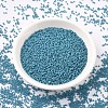 MIYUKI Delica Beads X-SEED-J020-DB0798-2