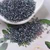 MIYUKI Delica Beads X-SEED-J020-DB0179-1