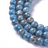 Synthetic Turquoise and Sea Shell Assembled Beads Strands G-F623-08-4mm-3