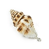 Natural Scallop Shell & Round Shell Pearl Pendants PALLOY-TA00197-01-5