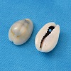 Natural Cowrie Shell Beads X-BSHE-S047-2
