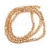 Glass Beads Strands EGLA-S056-2mm-08-5