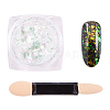 Nail Art Glitter Powder MRMJ-Q046-010-M-2