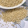 MIYUKI Delica Beads SEED-MY11-DB1571-1