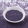 MIYUKI Round Rocailles Beads X-SEED-G007-RR0223-2