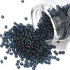 MIYUKI Round Rocailles Beads SEED-G008-RR2411-1