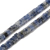 Natural Blue Spot Jasper Beads Strands G-Z045-A08-01-1