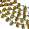 Natural Green Opal Beads Strands G-P607-A08-01-4