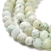 Natural Green Opal Beads Strands G-Z035-A02-02A-4