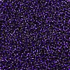 MIYUKI Delica Beads X-SEED-J020-DB0609-3
