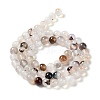 Natural Dendritic Agate Beads Strands G-D845-04-8mm-4