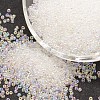 12/0 Round Glass Seed Beads SEED-J011-F12-161-1