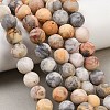 Natural Crazy Lace Agate Beads Strands G-Q462-10mm-12-7