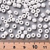6/0 Glass Seed Beads SEED-US0003-4mm-121-3