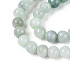 Natural Myanmar Jade Beads Strands G-N353-07F-01-4