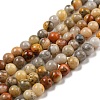 Natural Crazy Lace Agate Round Bead Strands G-M272-03-4mm-1
