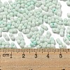 Macaron Color Opaque Frosted Glass Seed Beads SEED-K009-12B-07-4