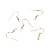 Iron Earring Hooks IFIN-EC135-RG-2