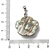 Natural Paua Shell & Natural Pearl Pendants SHEL-G024-08P-3