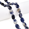 Natural Sodalite Beads Strands G-M206-39-1