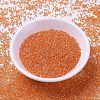 MIYUKI Delica Beads X-SEED-J020-DB1887-2