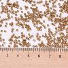 Cylinder Seed Beads SEED-H001-G17-2