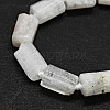 Natural Rainbow Moonstone Beads Strands G-O170-121-3