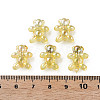 Transparent Acrylic Beads MACR-S154-127-C05-6