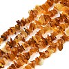 Natural Amber Chip Beads Strands G-E271-81-01-1