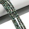 Natural African Turquoise(Jasper) Beads Strands G-C084-D03-02-2