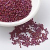 MIYUKI Delica Beads X-SEED-J020-DB2275-1