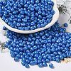 6/0 Opaque Baking Paint Glass Seed Beads SEED-M012-02A-03-1