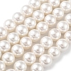 Shell Pearl Bead Strands X-BSHE-L026-03-8mm-2