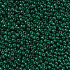 12/0 FGB Grade A Round Glass Seed Beads SEED-N001-A-1029-2