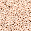 6/0 Glass Seed Beads SEED-L011-08A-24-3