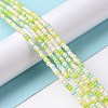 Glass Seed Bead Strands LAMP-B021-04B-2