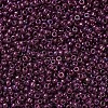 MIYUKI Round Rocailles Beads X-SEED-G007-RR0313-3