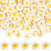 100Pcs Handmade Polymer Clay 3D Flower Plumeria Beads CLAY-SC0002-48C-1