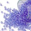 TOHO Round Seed Beads SEED-JPTR08-0168-1