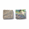 Abalone Shell/Paua Shell Beads SSHEL-S258-10A-2