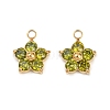 304 Stainless Steel Micro Pave Cubic Zirconia Charms STAS-B088-01G-04-1