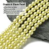 Eco-Friendly  Dyed Glass Pearl Round Beads Strands HY-A002-8mm-RB012-2