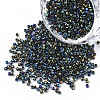FGB 11/0 Grade A Glass Seed Beads SEED-S030-0027-1