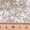 Plated Glass Cylinder Beads SEED-S047-E-003-4