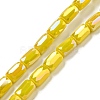 Glass Beads Strands EGLA-P052-03C-03-1