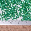 MIYUKI Delica Beads Small SEED-J020-DBS0858-4