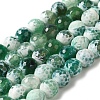 Dyed & Heated Natural Fire Crackle Agate Beads Strands G-P539-B01-21-1