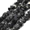 Natural Black Tourmaline Beads Strands G-I283-F12-2